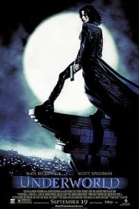 ��ҹ��˵����