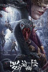 �޲�������